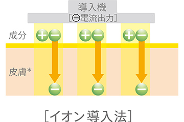 イオン導入法